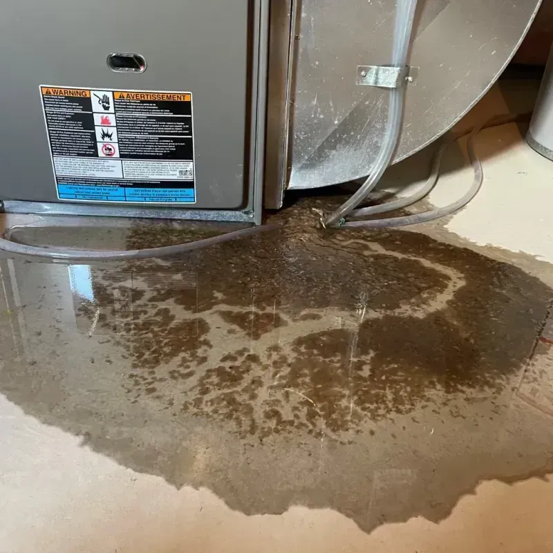 Appliance Leak Cleanup in Kittitas, WA